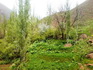 AhmadSharifKazemi1393 (9)_resize.jpg